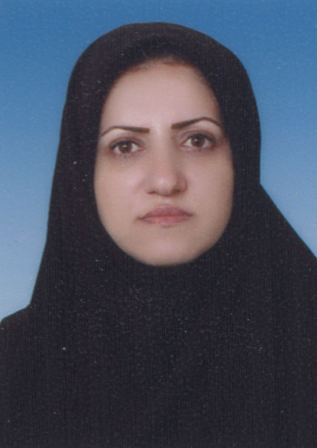  Maryam Hosseini Tabar  